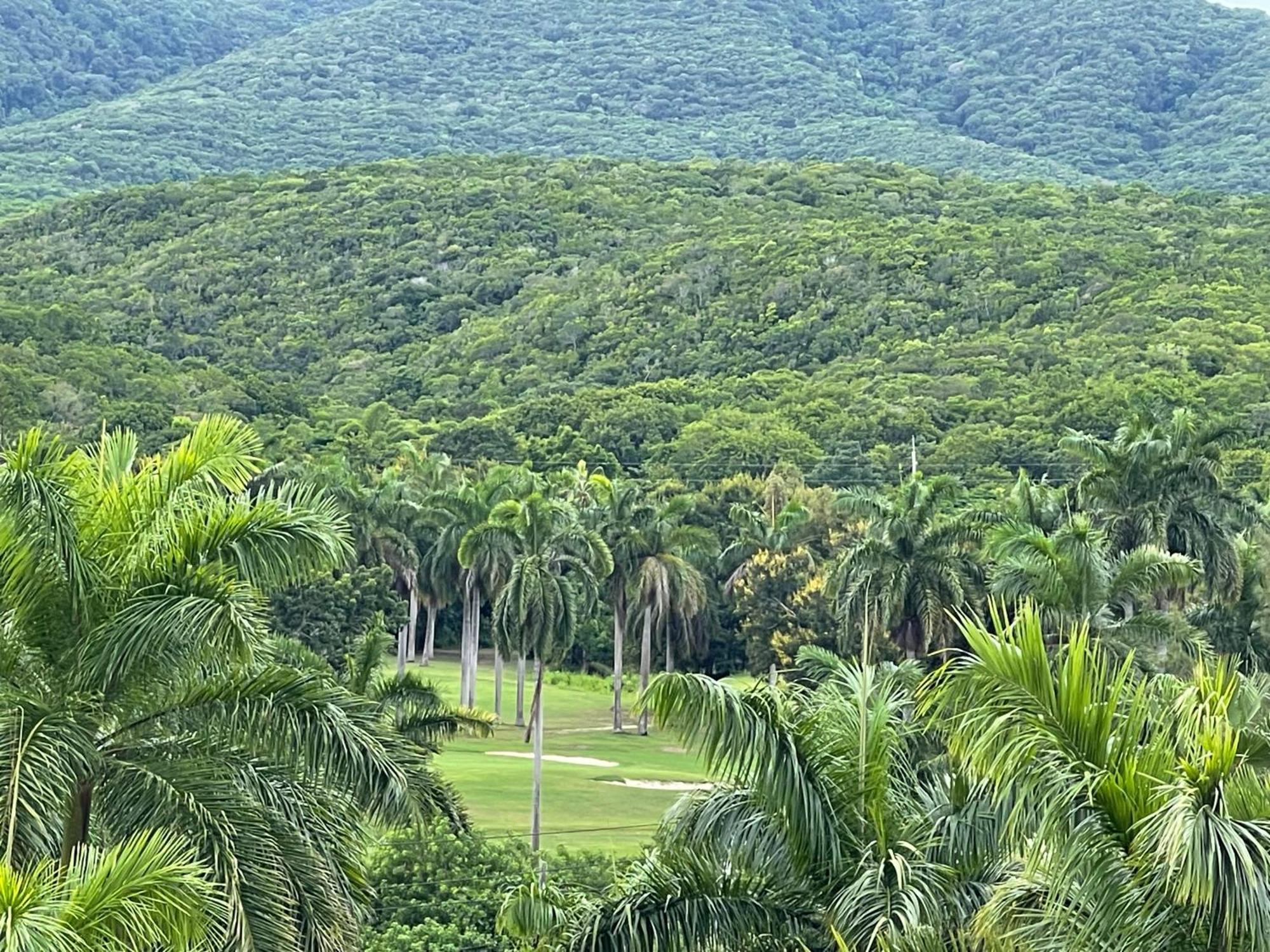 Aparthotel Marriott Seacastles E22, Montego Bay Zewnętrze zdjęcie